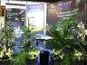 EPE2013_Booths_6.JPG